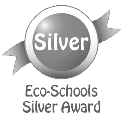 ecoschools silver